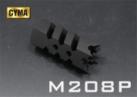 M208P